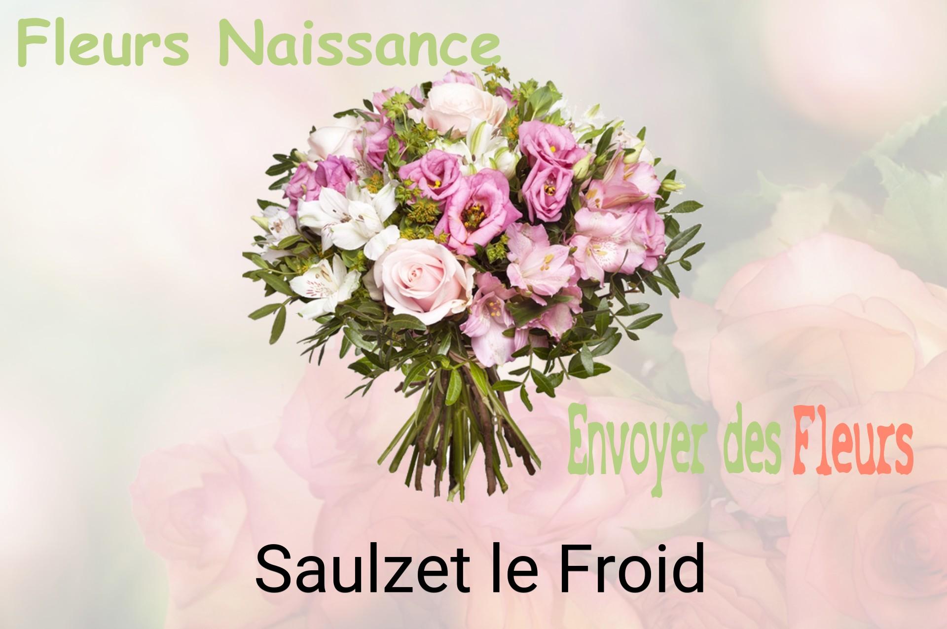 Bouquet de fleurs de naissance livré à Saulzet-le-Froid