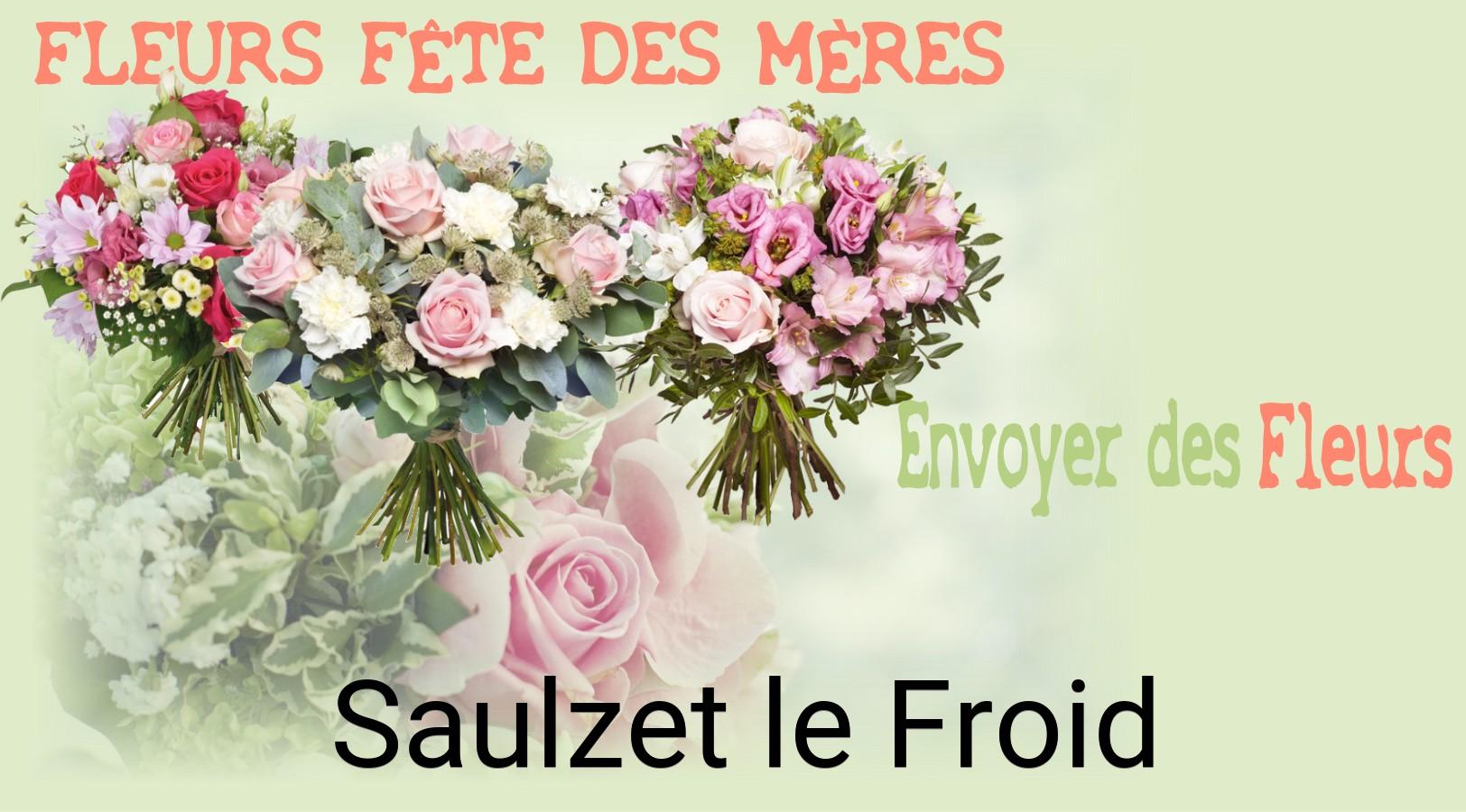 Bouquet de Fête des Mères livré à Saulzet-le-Froid